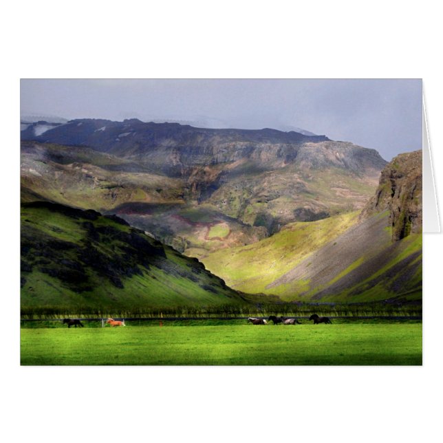 Running Horses Iceland (Front Horizontal)