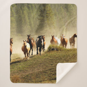 Running horses on Montana ranch Sherpa Blanket