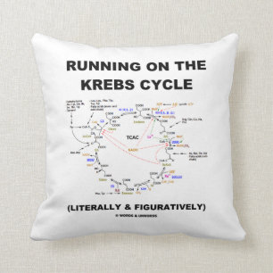 Running On The Krebs Cycle (Science Humor) Cushion