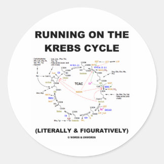 Running On The Krebs Cycle (Science Humour) Classic Round Sticker