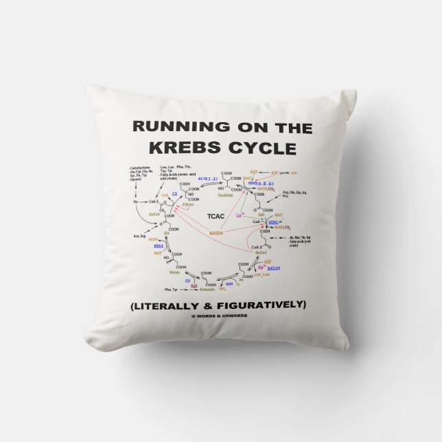 Running On The Krebs Cycle (Science Humour) Cushion (Front)
