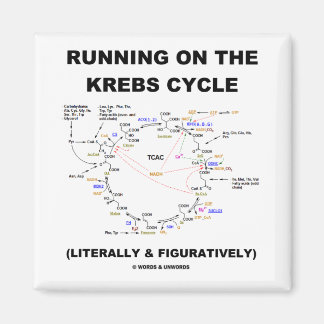Running On The Krebs Cycle (Science Humour) Magnet