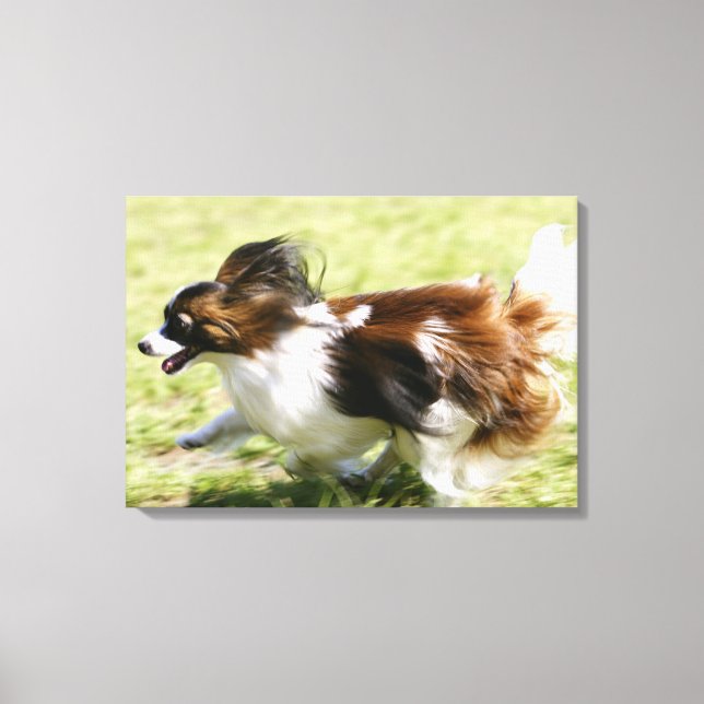 Running Papillon Canvas Print (Front)