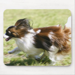 Running Papillon Mouse Mat