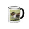 Running Papillon