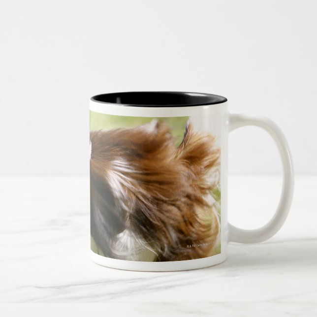 Running Papillon Two-Tone Coffee Mug (Right)