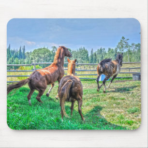 Running Pinto Paint Gelding & Chestnut Stallions Mouse Mat
