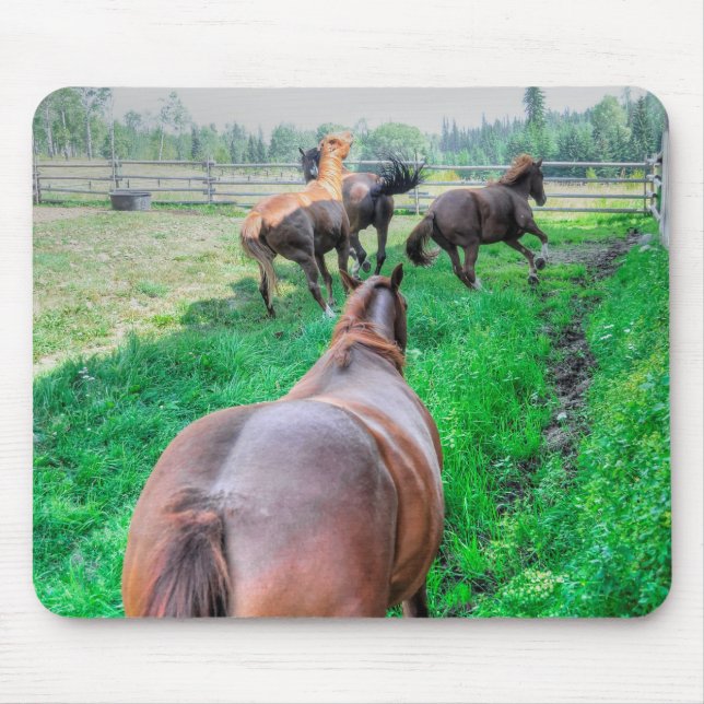 Running Pinto Paint Gelding & Chestnut Stallions Mouse Mat (Front)