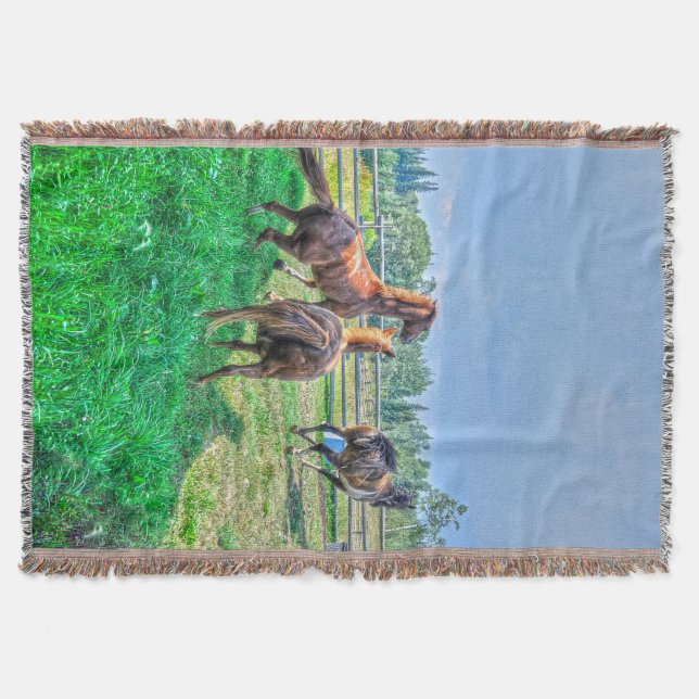 Running Pinto Paint Gelding & Chestnut Stallions Throw Blanket (Front)