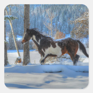 Running Pinto Paint Stallion in Winter Snows Photo Square Sticker