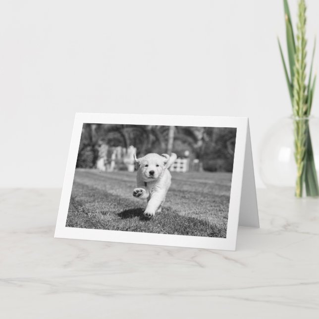 Running Puppy | Blank Card (Front)