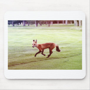 running red fox photograph mouse mat