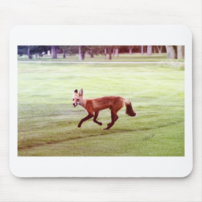 running red fox photograph mouse mat (Front)