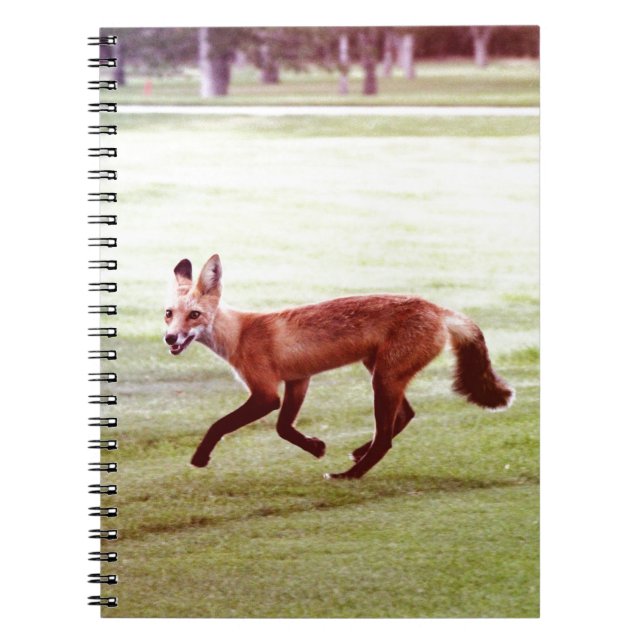running red fox photograph notebook (Front)