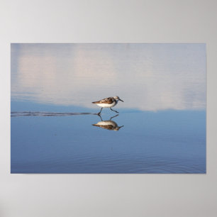 Running Reflection 1 Poster