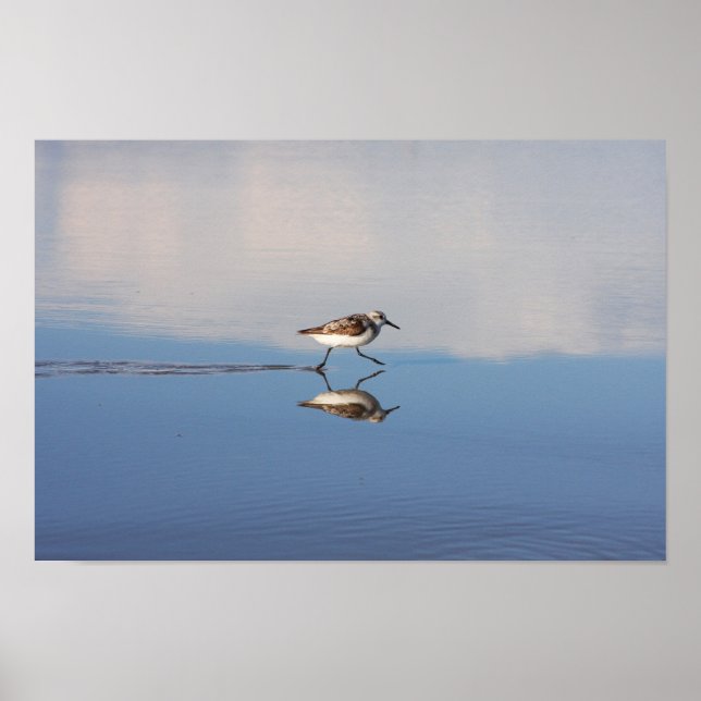 Running Reflection 1 Poster (Front)