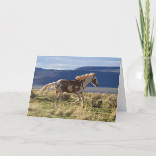 Running Stallion, Steens Mountains, Oregon Card