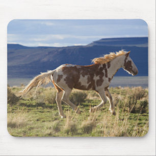 Running Stallion, Steens Mountains, Oregon Mouse Mat