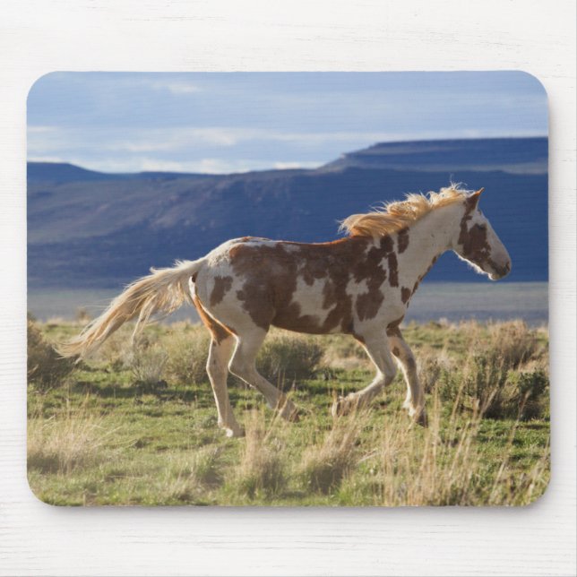 Running Stallion, Steens Mountains, Oregon Mouse Mat (Front)