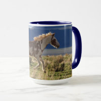 Running Stallion, Steens Mountains, Oregon