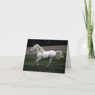 Running White Horse Card