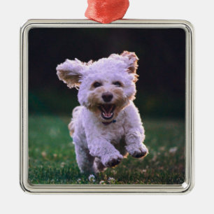 Running White Poodle Cute Dog Metal Tree Decoration