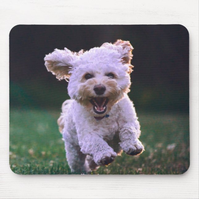 Running White Poodle Cute Dog Mouse Mat (Front)