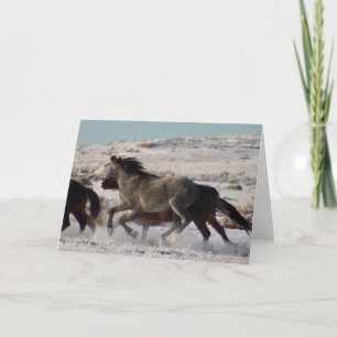 RUNNING WILD HORSES Folded Greeting Card