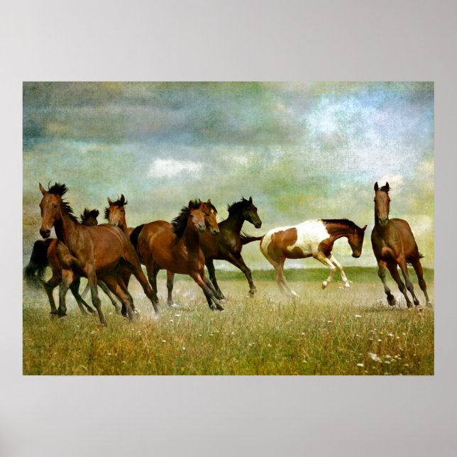 Running Wild Horses - Vintage Creative Art Poster (Front)