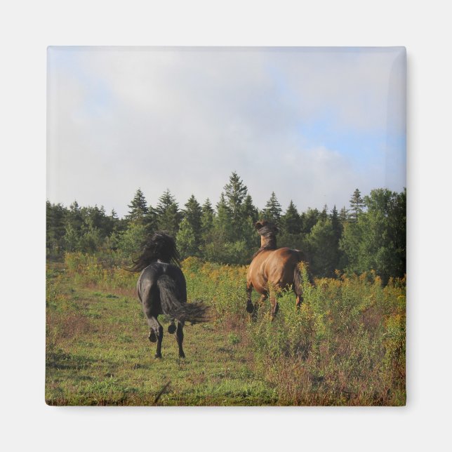 Running Wild Magnet (Front)