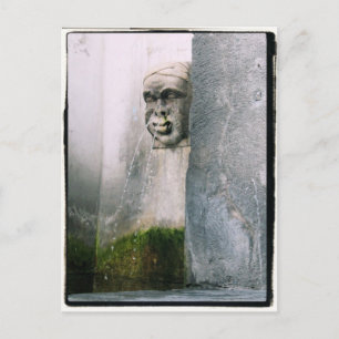 Runny Nose?   Fountain in Verona, Italy Postcard