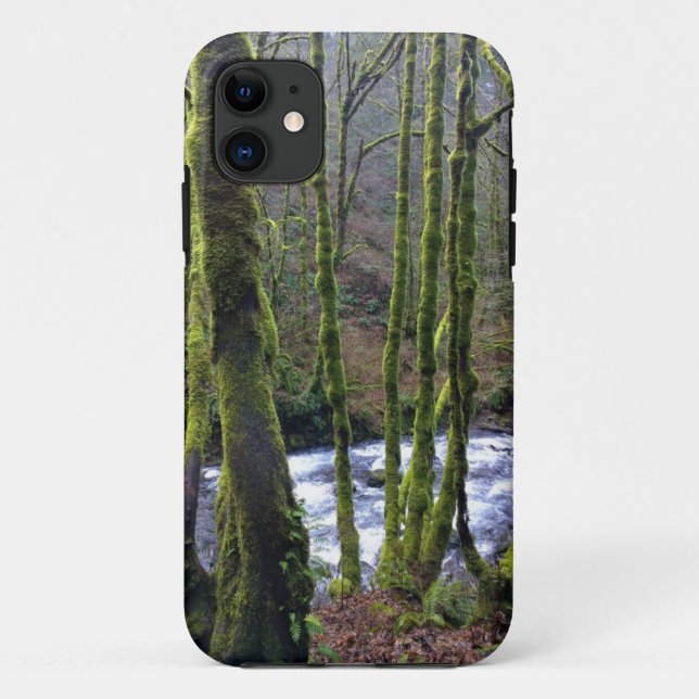 Runoff from Bridal Veil Falls, OR Case-Mate iPhone Case (Back)
