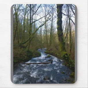 Runoff from Bridal Veil Falls, OR Mouse Mat