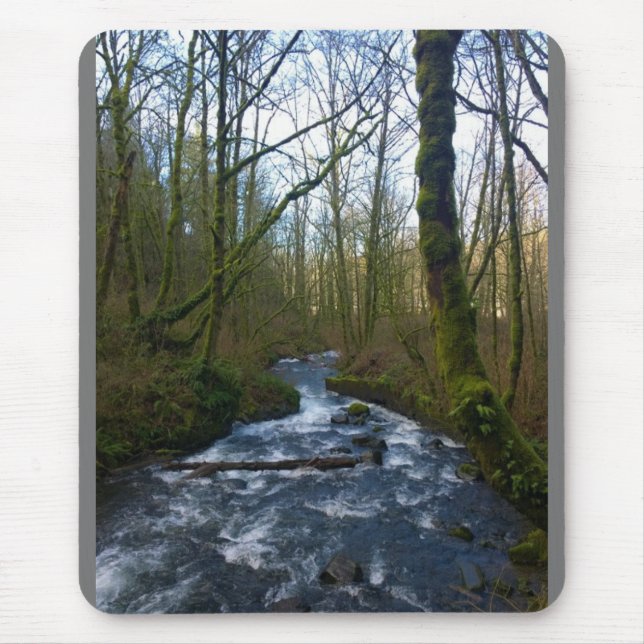 Runoff from Bridal Veil Falls, OR Mouse Mat (Front)