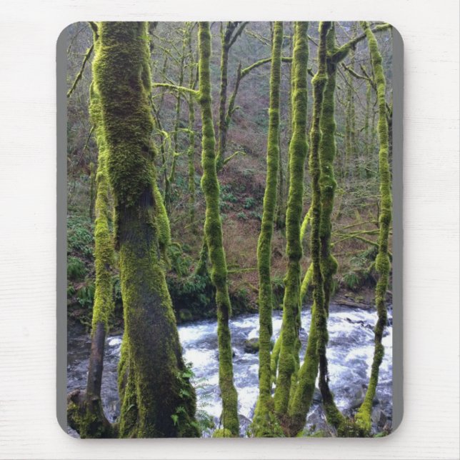 Runoff from Bridal Veil Falls, OR Mouse Mat (Front)