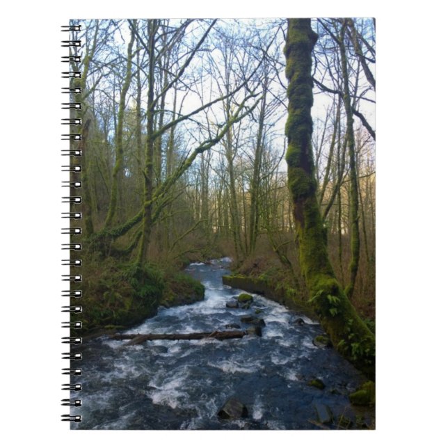 Runoff from Bridal Veil Falls, OR Notebook (Front)