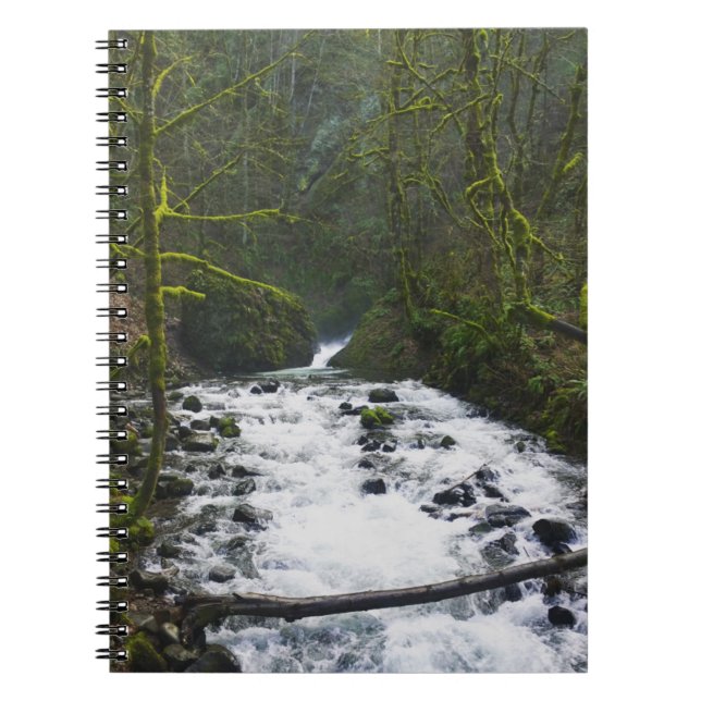Runoff from Bridal Veil Falls, OR Notebook (Front)
