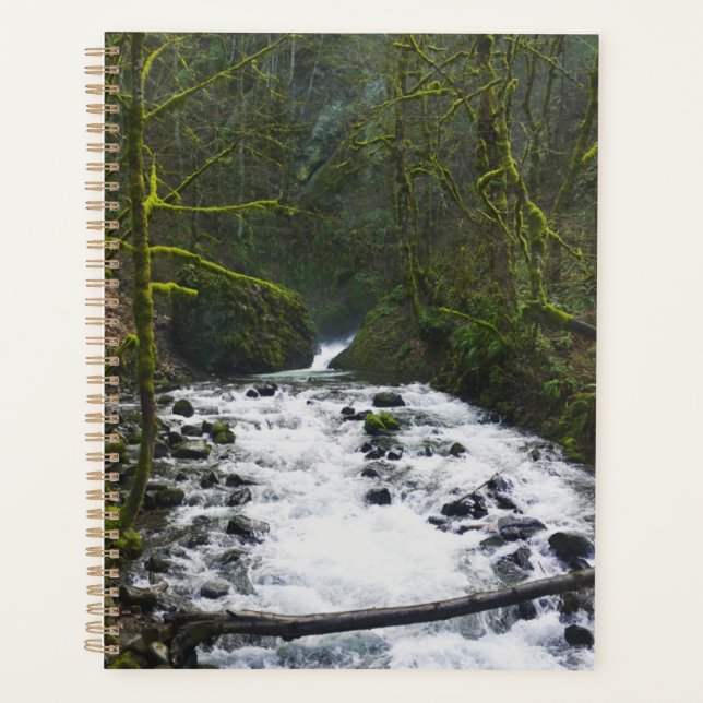 Runoff from Bridal Veil Falls, OR Planner (Front)