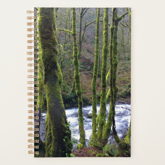 Runoff from Bridal Veil Falls, OR Planner (Front)