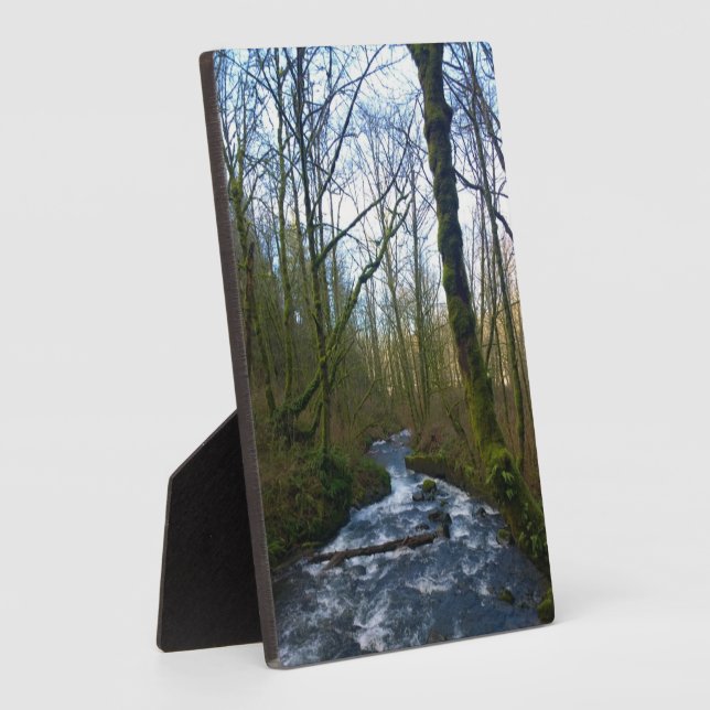 Runoff from Bridal Veil Falls, OR Plaque (Side)