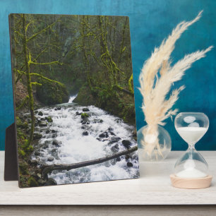 Runoff from Bridal Veil Falls, OR Plaque