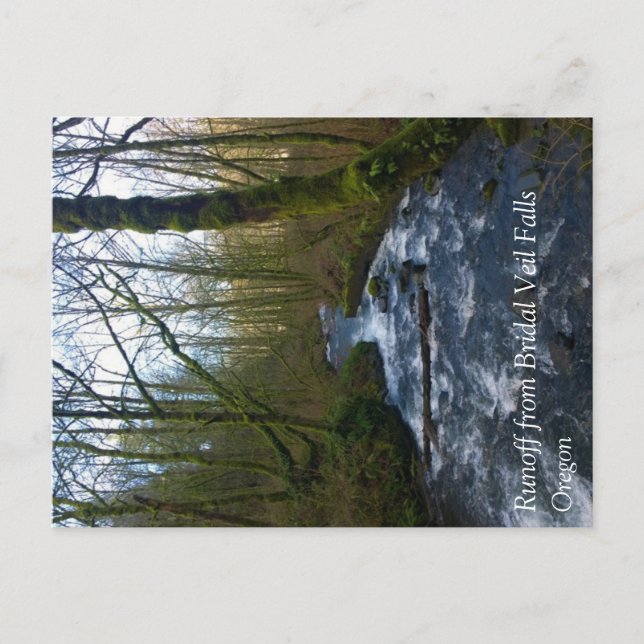 Runoff from Bridal Veil Falls, OR Postcard (Front)