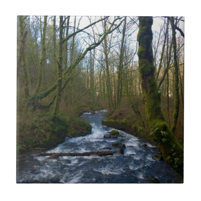 Runoff from Bridal Veil Falls, OR Tile (Front)