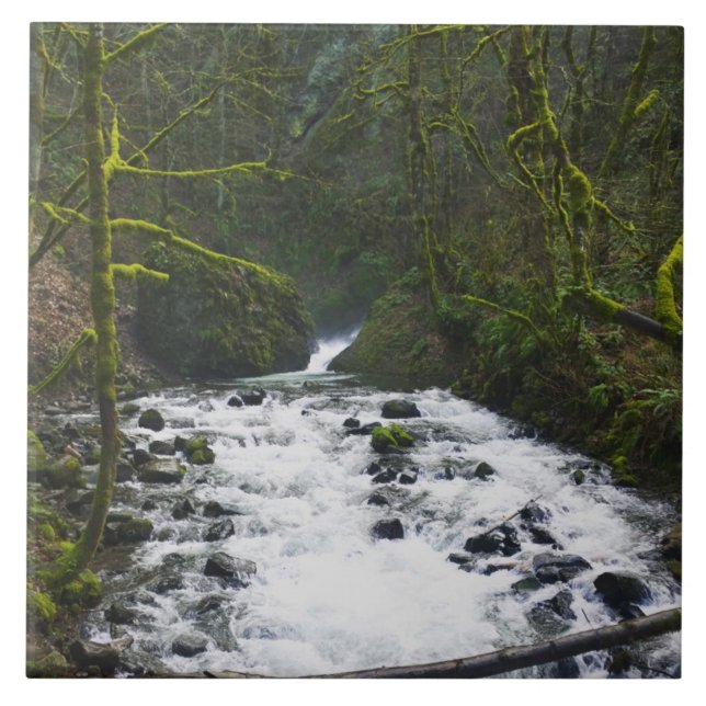 Runoff from Bridal Veil Falls, OR Tile (Front)