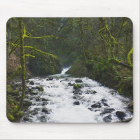 Runoff from Bridal Veil Falls, Oregon