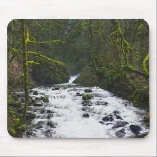 Runoff from Bridal Veil Falls, Oregon Mouse Mat