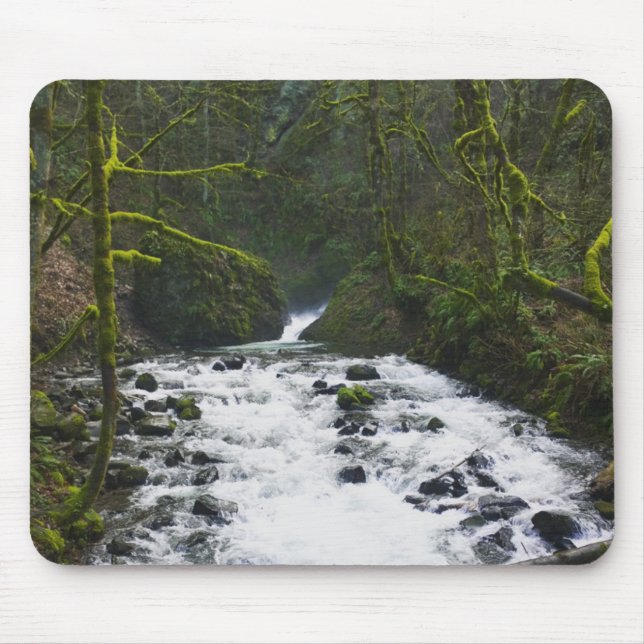 Runoff from Bridal Veil Falls, Oregon Mouse Mat (Front)