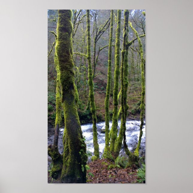 Runoff from Bridal Veil Falls, Oregon Poster (Front)