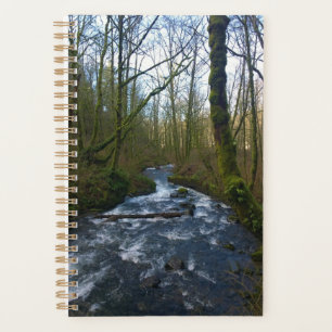 Runoff from Bridal Veil Falls Planner