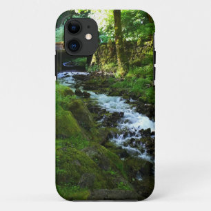 Runoff from Wahkeena Falls, OR iPhone 11 Case